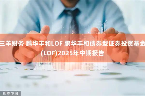 三羊财务 鹏华丰和LOF 鹏华丰和债券型证券投资基金(LOF)2025年中期报告