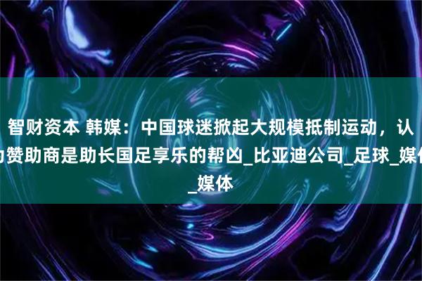 智财资本 韩媒：中国球迷掀起大规模抵制运动，认为赞助商是助长国足享乐的帮凶_比亚迪公司_足球_媒体