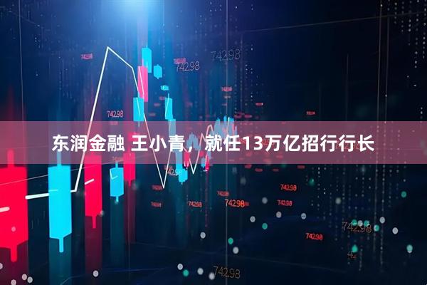 东润金融 王小青，就任13万亿招行行长