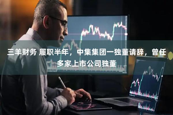 三羊财务 履职半年,中集集团一独董请辞,曾任多家上市公司独董